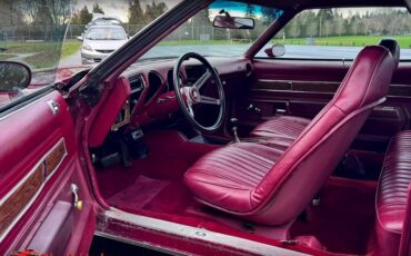 Oldsmobile-442-1974-19