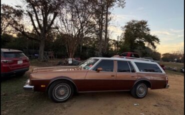 Oldsmobile-Custom-Cruiser-1978-1