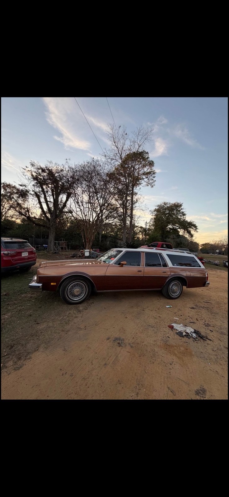 Oldsmobile-Custom-Cruiser-1978-1
