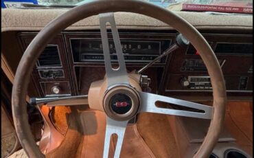 Oldsmobile-Custom-Cruiser-1978-11