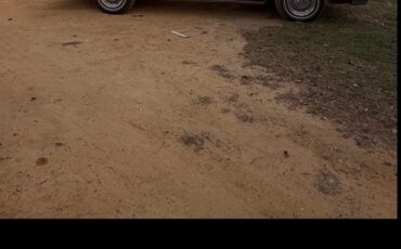 Oldsmobile-Custom-Cruiser-1978-2