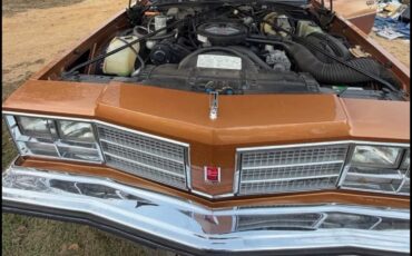 Oldsmobile-Custom-Cruiser-1978-6