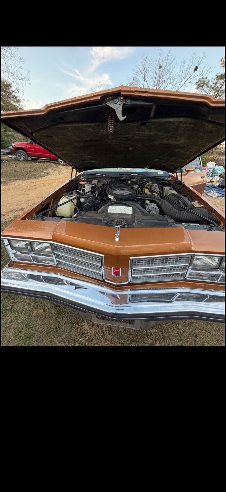 Oldsmobile-Custom-Cruiser-1978-6