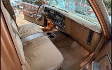 Oldsmobile-Custom-Cruiser-1978-8