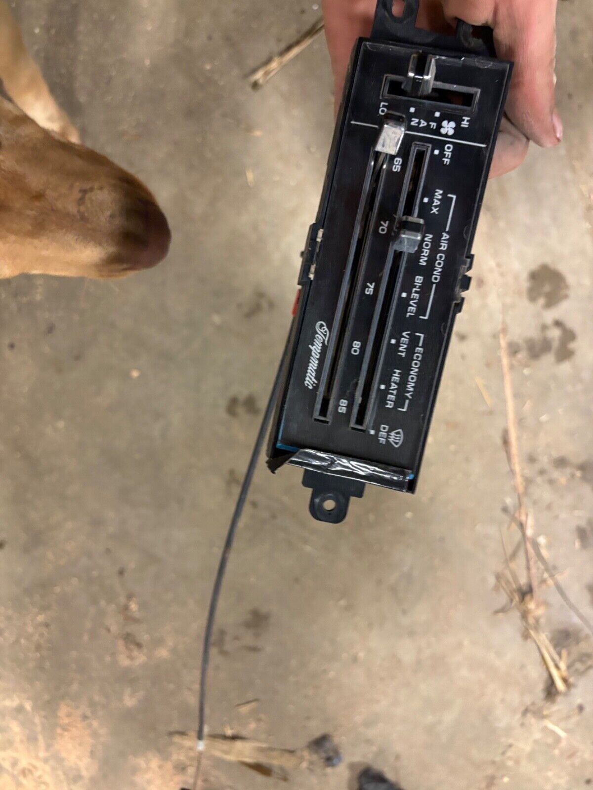 Oldsmobile-Custom-Cruiser-1984-Cab-Chassis-8