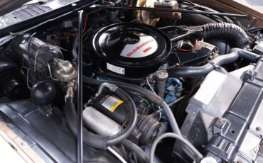 Oldsmobile-Cutlass-1976-Coupe-29