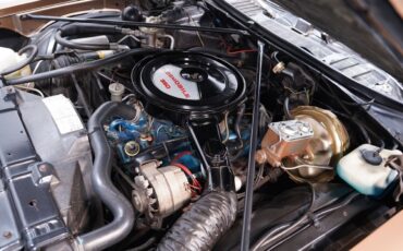 Oldsmobile-Cutlass-1976-Coupe-30