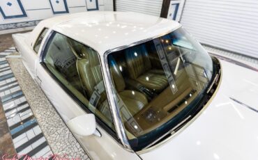 Oldsmobile-Cutlass-1977-14