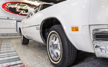 Oldsmobile-Cutlass-1977-15