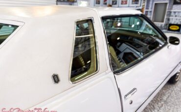 Oldsmobile-Cutlass-1977-22