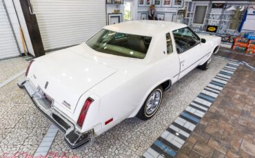 Oldsmobile-Cutlass-1977-24