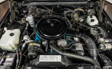 Oldsmobile-Toronado-1979-Coupe-3