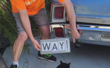 Oldsmobile-cutlass-supreme-1967-blue-3