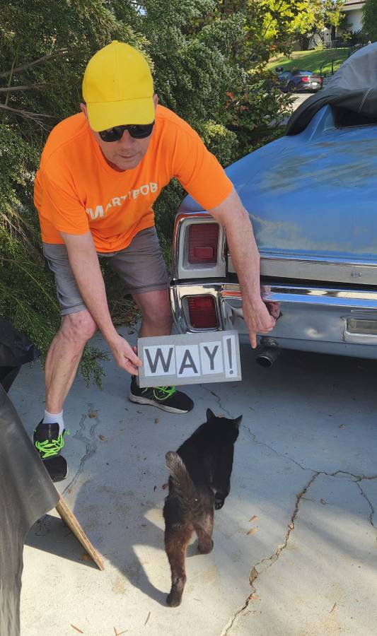 Oldsmobile-cutlass-supreme-1967-blue-3