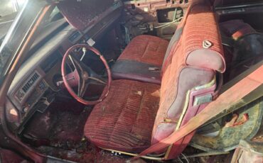 Oldsmobile-cutlass-supreme-1974-yellow-10