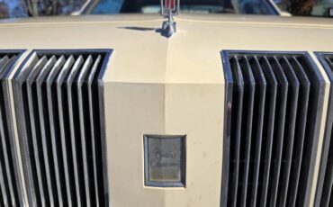 Oldsmobile-cutlass-supreme-1978-custom-15