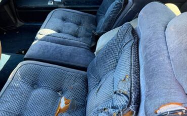 Oldsmobile-cutlass-supreme-1981-custom-2