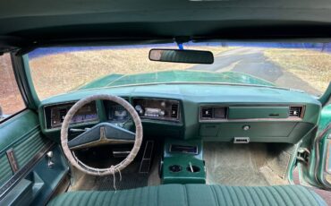Oldsmobile-delta-88-royale-1973-green-6