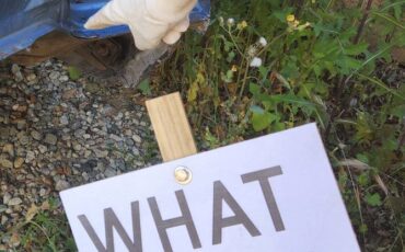 Oldsmobile-starffire-convertible-1965-blue-7