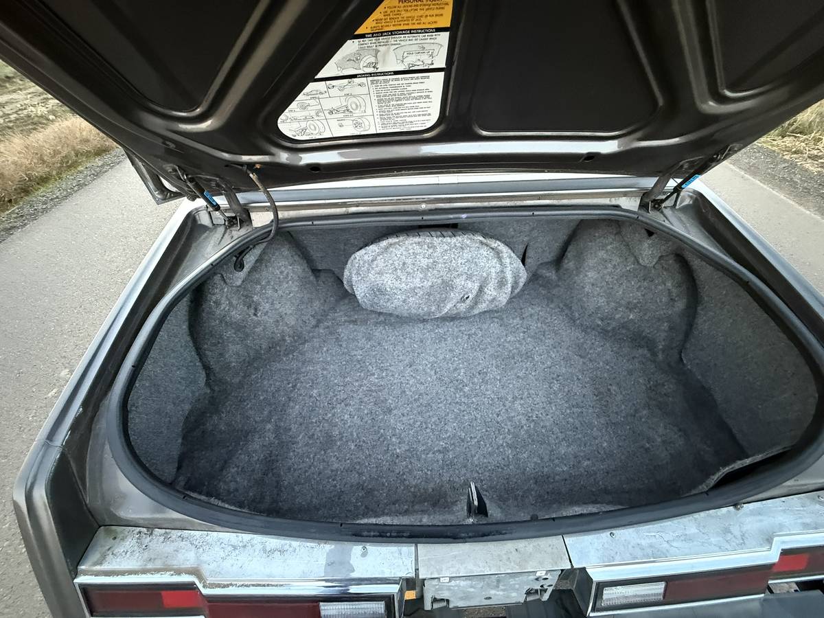 Oldsmobile-toronado-brougham-1983-grey-14