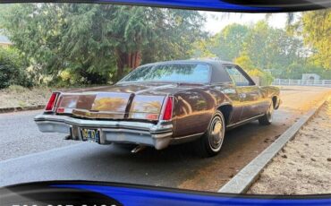 Oldsmobile-toronado-brougham-o-1973-brown-7