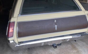 Oldsmobile-vista-cruiser-1970-brown-1