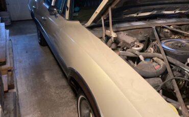 Oldsmobile-vista-cruiser-1970-brown-3