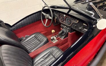 Other-Makes-Buchanan-1959-Convertible-17