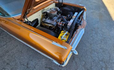 Parkwood-1959-orange-23