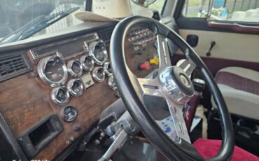 Peterbilt-377-diesel-1994-custom-6