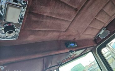 Peterbilt-377-diesel-1994-custom-7