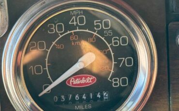 Peterbilt-379-diesel-1996-white-13