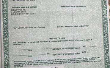 Peterbilt-379-diesel-1996-white-15