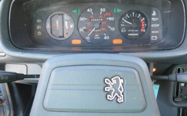 Peugeot-505-1984-blue-17