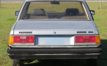 Peugeot-505-1984-blue-4
