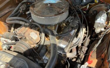 Plymouth-1974-brown-10