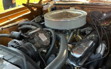 Plymouth-1974-brown-13