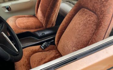 Plymouth-1974-brown-4