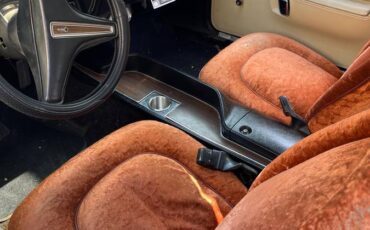 Plymouth-1974-brown-5