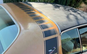 Plymouth-1974-brown-6