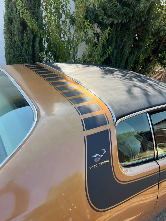 Plymouth-1974-brown-6