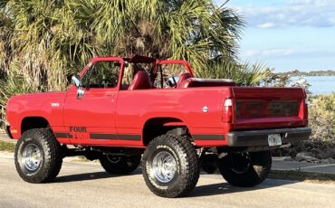 Plymouth-Duster-1980-SUV-3