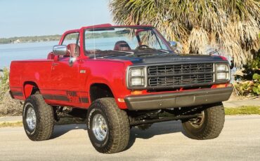 Plymouth-Duster-1980-SUV-7