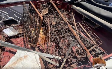 Plymouth-Fury-1961-Convertible-14