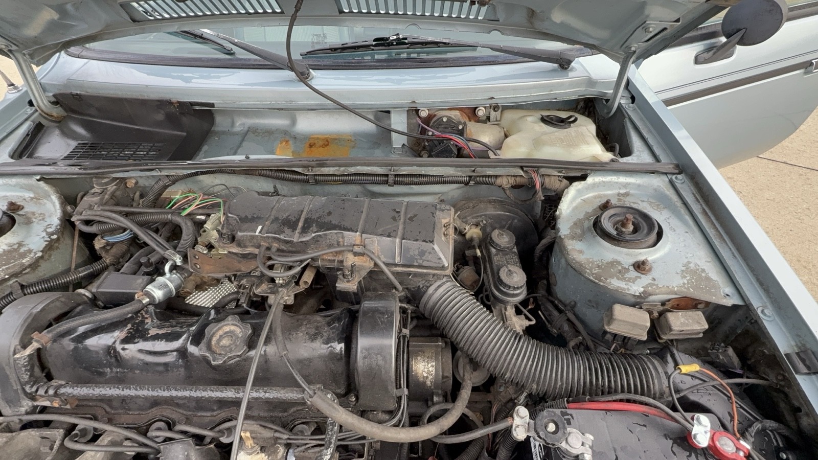 Plymouth-Horizon-1987-27