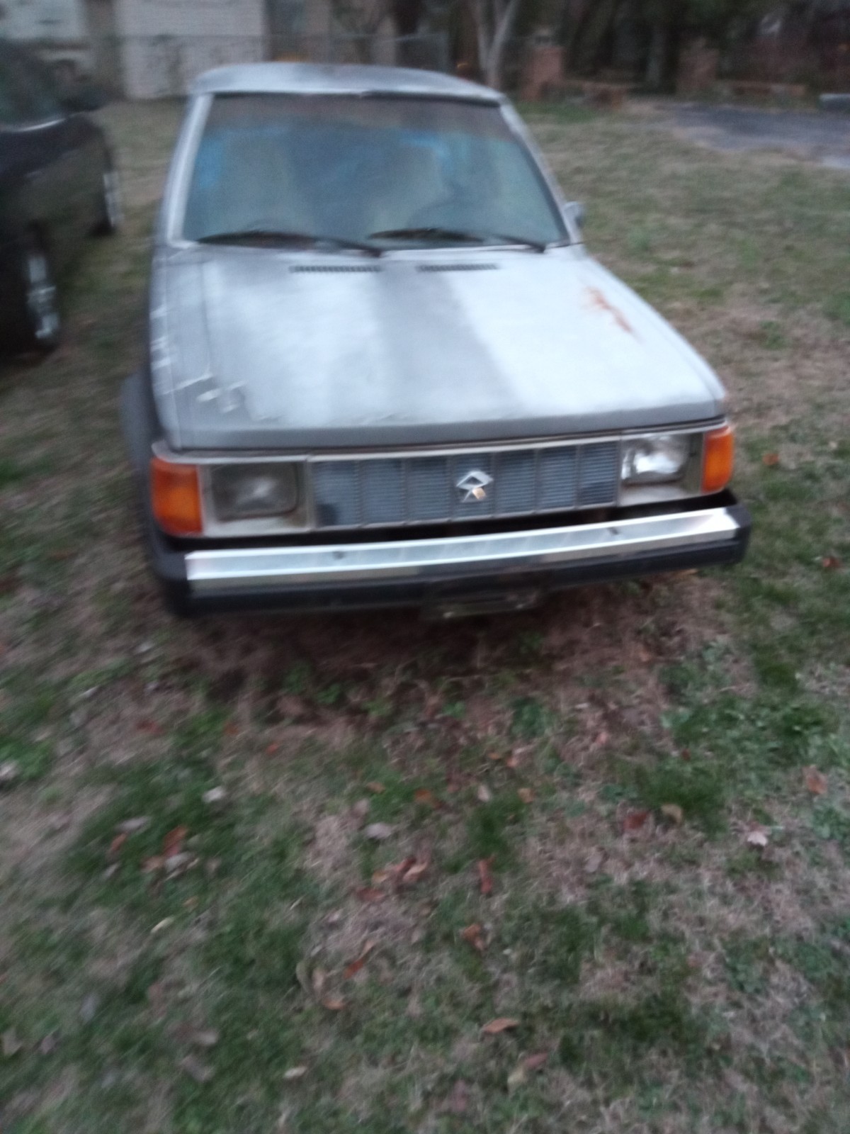 Plymouth-Horizon-1988-Hatchback