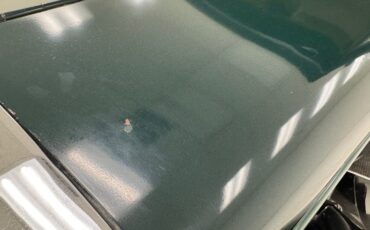 Plymouth-Other-1931-Spruce-Green-Tan-3