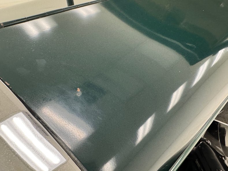 Plymouth-Other-1931-Spruce-Green-Tan-3