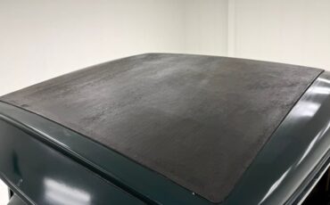 Plymouth-Other-1931-Spruce-Green-Tan-42