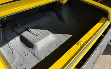 Plymouth-Other-1974-Coupe-10